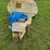 finn-t60-image-9