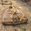 woods-cadet-60-image-6