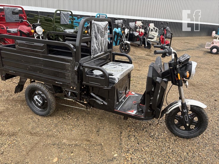 2026-iret13-electric-tricycle-#4-(black)-10094-image-4