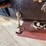 #1004-•-antique-fragata-espanola-ana-1780-wooden-ship-(t5)-image-7