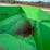 #1019-•-green-gravity-box-image-16