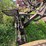 #1329-•-adam-leaning-steel-wheeled-grader-image-13