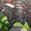 #8702-•-towable-log-splitter-image-19