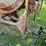 #8737-•-timken-bearing-equipment-towable-concrete-mixer-image-11