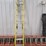 #9744-•-louisville-16'-extension-ladder-image-2