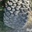 john-deere-gator-image-15