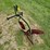 #8734-•-brinley-1b-3pt-plow-image-5
