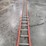 #9734-•-louisville-36'-extension-ladder-image-2