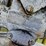 #8725-•-fuel-barrel-image-11