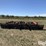 brillion-roller-w/s-tines-image-6