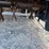 #89-•-unused-sdlool-sl-lm1000q-lawn-mower-1000qygcj2607275-inv#55058-image-22