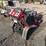 #2067-•-barreto-2324tk-trencher-w/-trailer-image-6