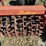 brillion-roller-w/s-tines-image-10