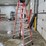 #9747-•-louisville-8'-step-ladder-image-3