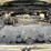 caterpillar-th255-image-31