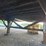 great-dane-48-image-18