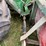 john-deere-6620-image-20