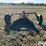 ditcher-image-6