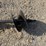 #49-•-unused-cat-305-excavator-auger-inv#55371-image-6