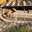 2005-caterpillar-d3g-xl-image-8