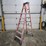 #9747-•-louisville-8'-step-ladder-image-1