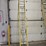 #9741-•-louisville-20'-extension-ladder-image-2