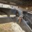 #1323-•-bauer-built-sd36-side-dump-wagon-(west-salem,-wi)-image-26
