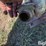 60”-brush-mower-image-18