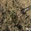 ditcher-image-9