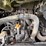 2020-takeuchi-tl8-image-16