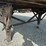 great-dane-48-image-11