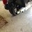 #1319-•-1999-excelsior-henderson-super-x-motorcycle-(has-wi-title)-image-17
