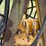 #25268-•-international-3082-series-a-back-hoe-attachment-image-50