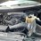2013-ford-f150-xlt-image-28