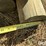 wood-posts-&-hinge-joint-wire-image-9