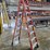 #9747-•-louisville-8'-step-ladder-image-4