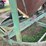 #1155-•-grain-chief-grain-dryer-image-8