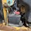 caterpillar-259d-image-41