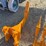 #53-•-giyi-cat305-excavator-ripper-inv#55147-image-4