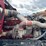 2009-kenworth-t800-image-20