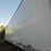 great-dane-48-image-11