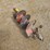 #9614-•-bobcat-12"-auger-bit-image-6