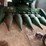 john-deere-6-image-2