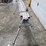 #9716-•-bosch-tracrac-t3b-stand-image-2