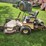 grasshopper-618-image-2