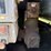 1991-ford-l8000-image-32