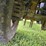 2012-ford-f250-image-67