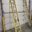 #9741-•-louisville-20'-extension-ladder-image-3