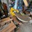 #8713-•-dewalt-scroll-saw-image-4