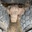 #1201-•-1999-sterling-silage-truck-(has-wi-title)-image-78